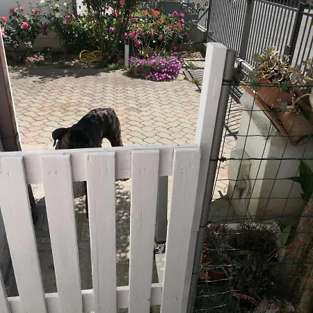 La Pianta Grassa A 2 Passi Dal Centro * Ravenna