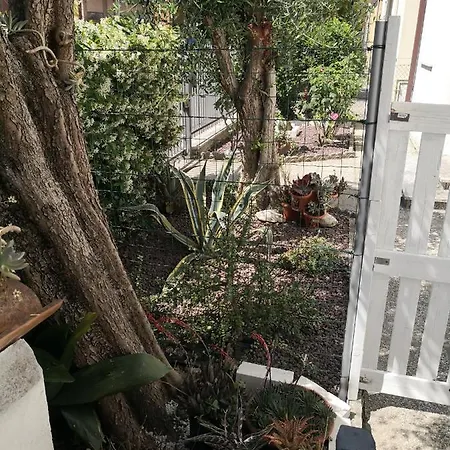 La Pianta Grassa A 2 Passi Dal Centro *